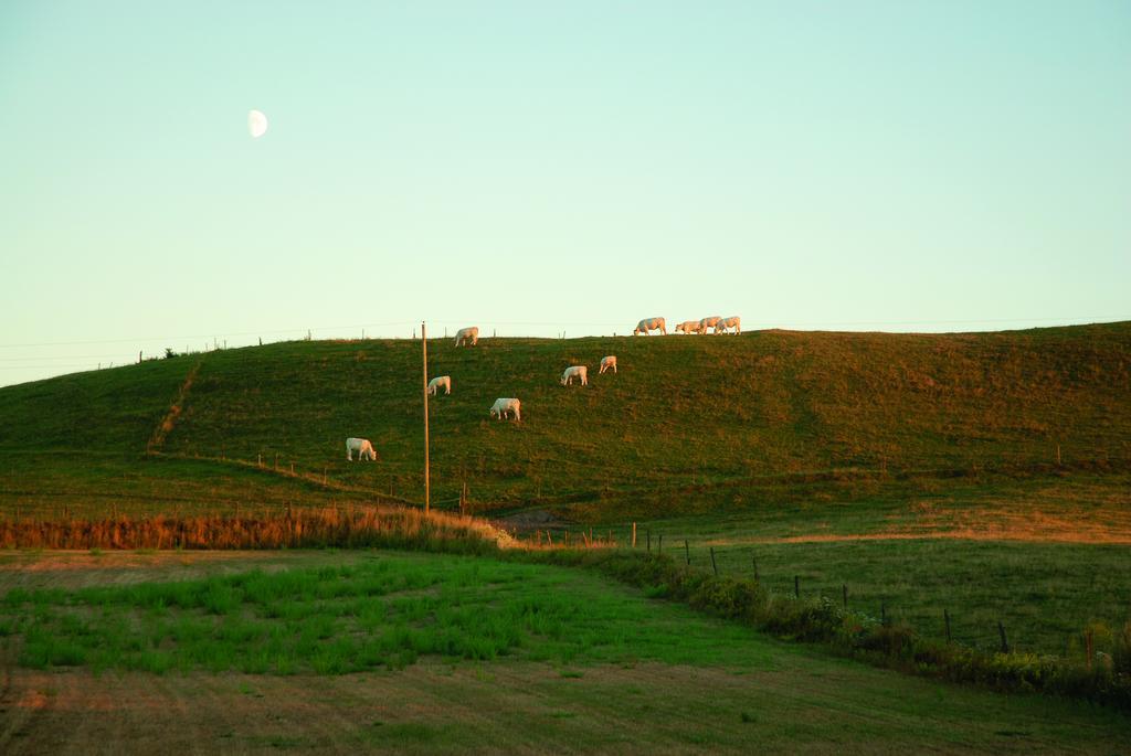 Vallebergaslaett Löderup Dış mekan fotoğraf